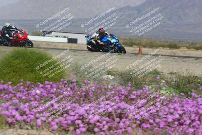 media/Feb-04-2023-SoCal Trackdays (Sat) [[8a776bf2c3]]/Turn 15 Inside Blooming (1050am)/